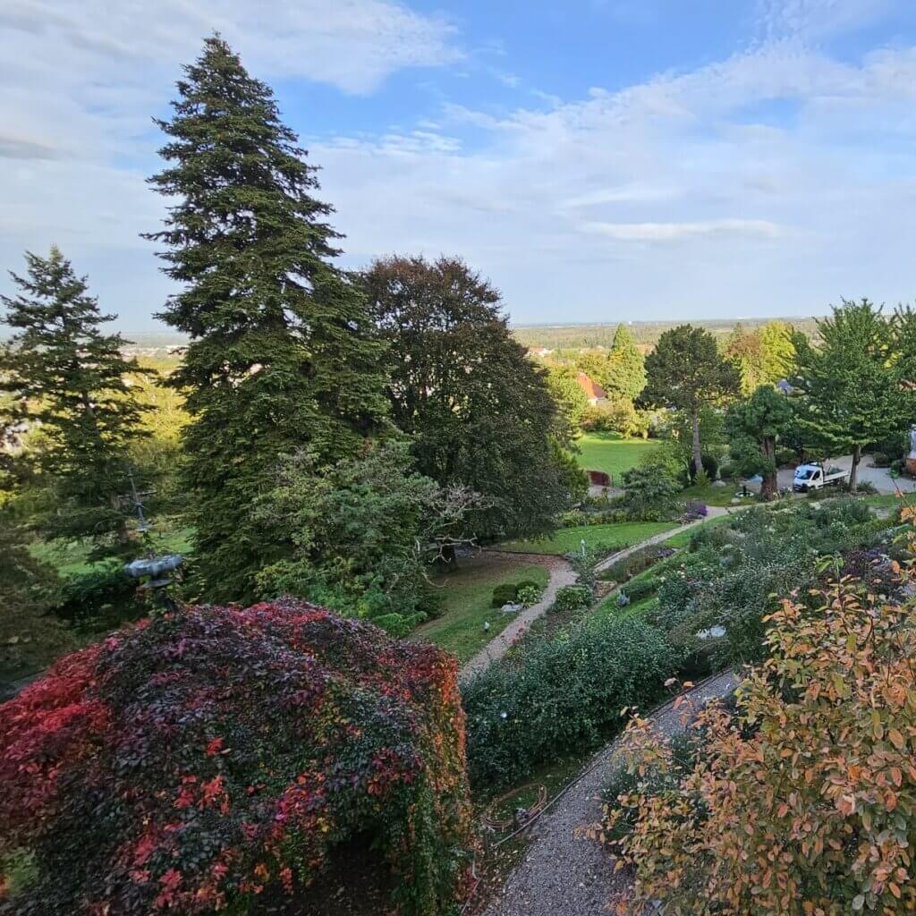 Gartenpflege Rhein Main Gebiet Überblick