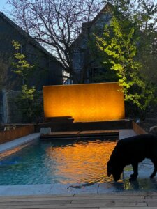 Pool im eigenen Garten Hund trinkt aus Naturpool