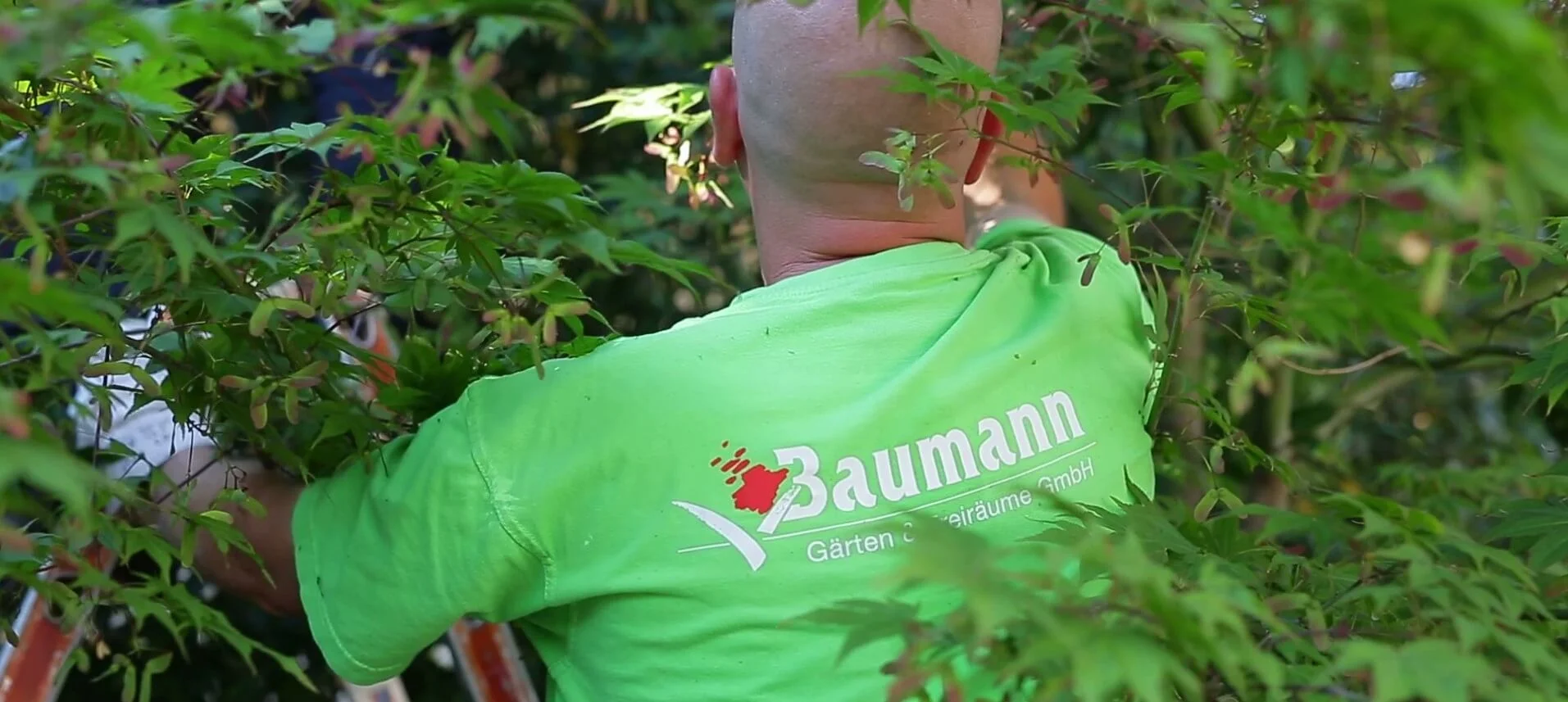 Baumann Gartenpflege