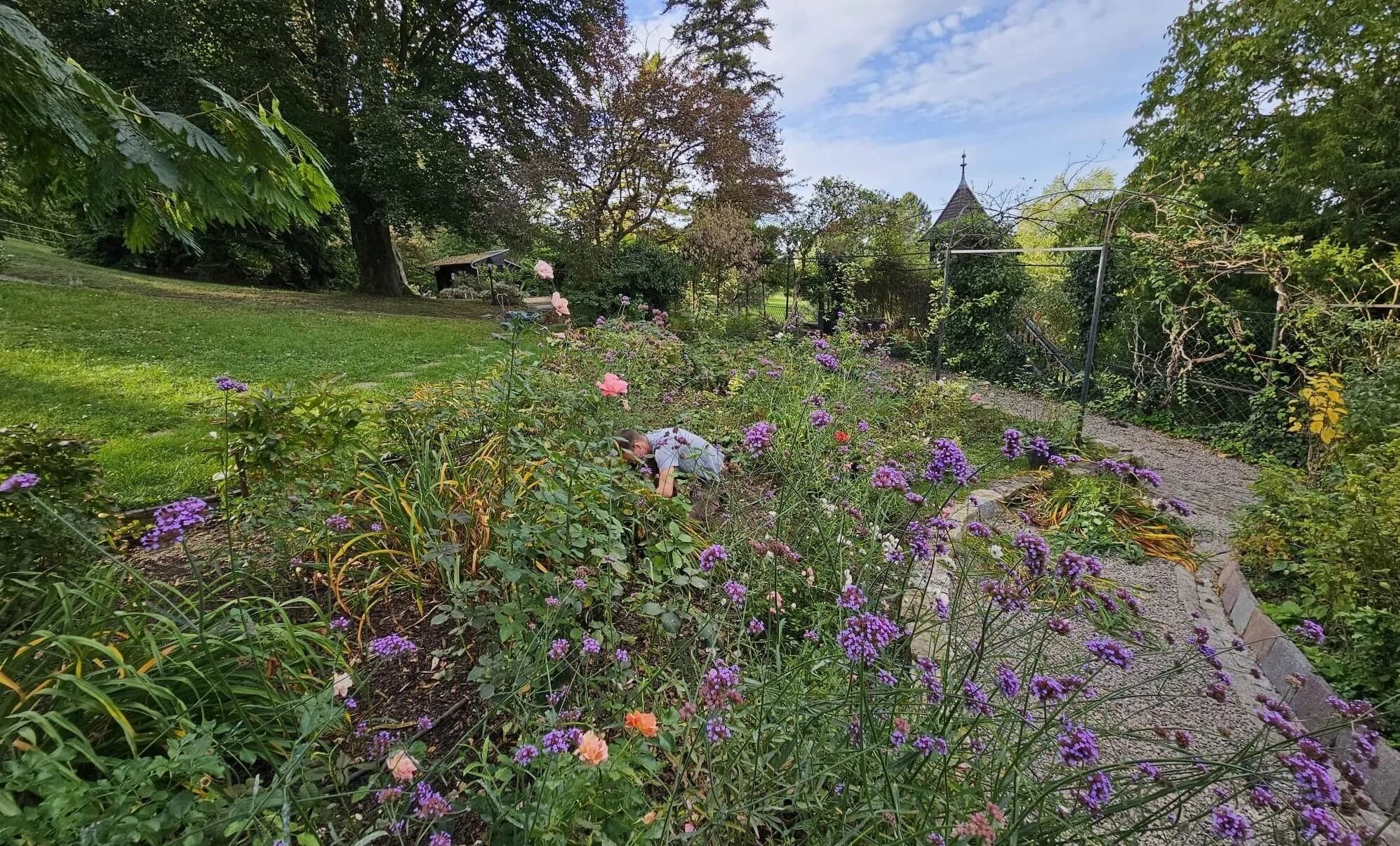 Landschafts-Gärtner hockt in Pflanzbeet zwischen Blumen, Kräutern und Gehölzen und betreibt Gartenpflege im Rhein Main Gebiet